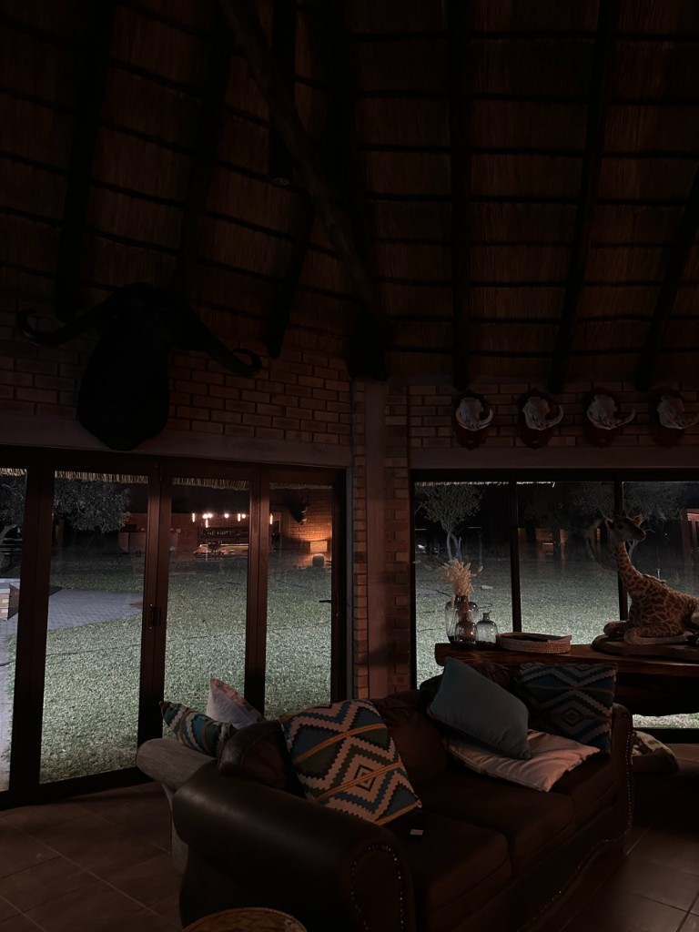 Lounge at night with garden views