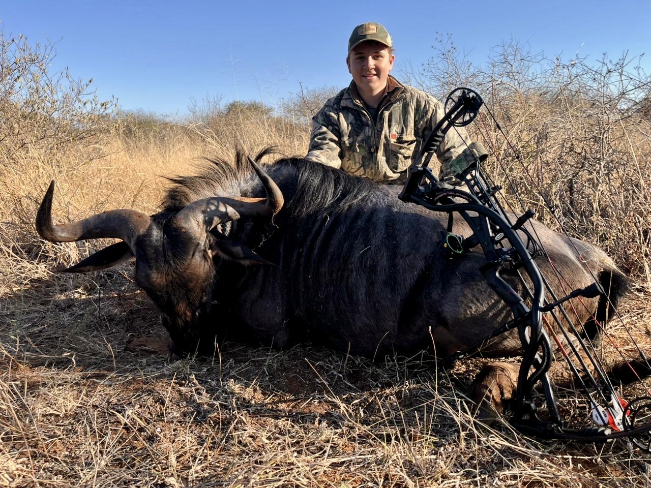 Wildebeest Bowhunt